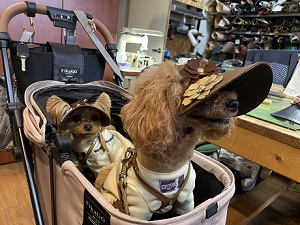 生徒作品2024 犬帽子 花モチーフ ネーム